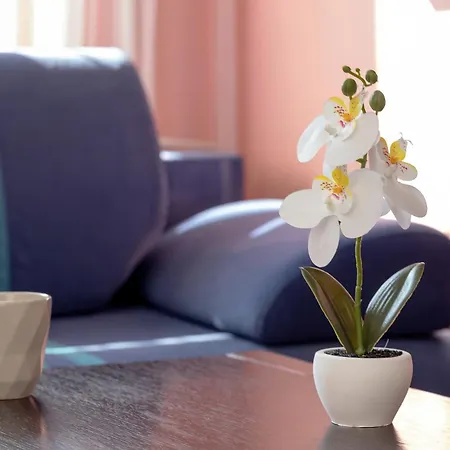 Siennicka Old 3 Bright With Balcony Close To The Center By Renters 公寓